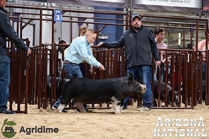 Decker Showpigs Winners