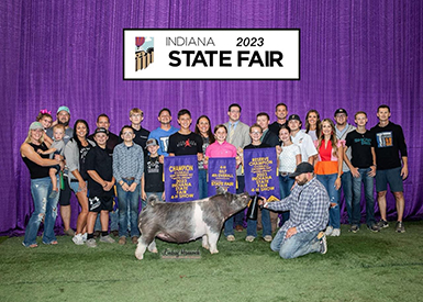 Decker Showpig Winners