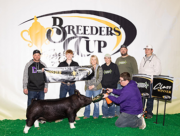 Decker Showpigs Winners