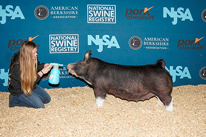 Decker Showpigs Winners